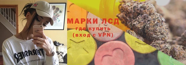 индика Киров