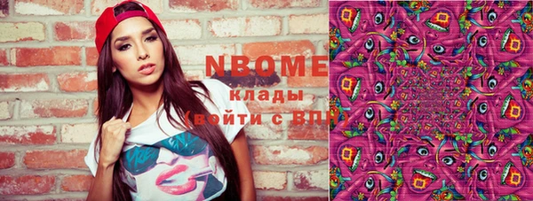 индика Киров