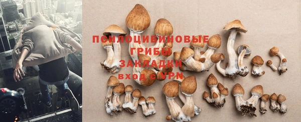 каннабис Богородск