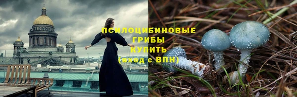 гашиш Богданович