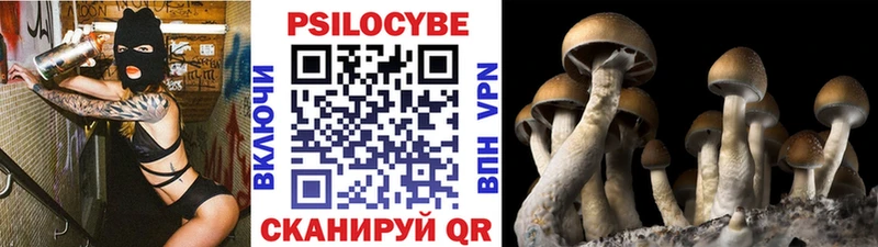 Галлюциногенные грибы Psilocybe  что такое наркотик  маркетплейс Telegram  Мышкин 